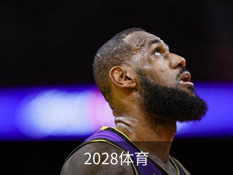 了解2028体育